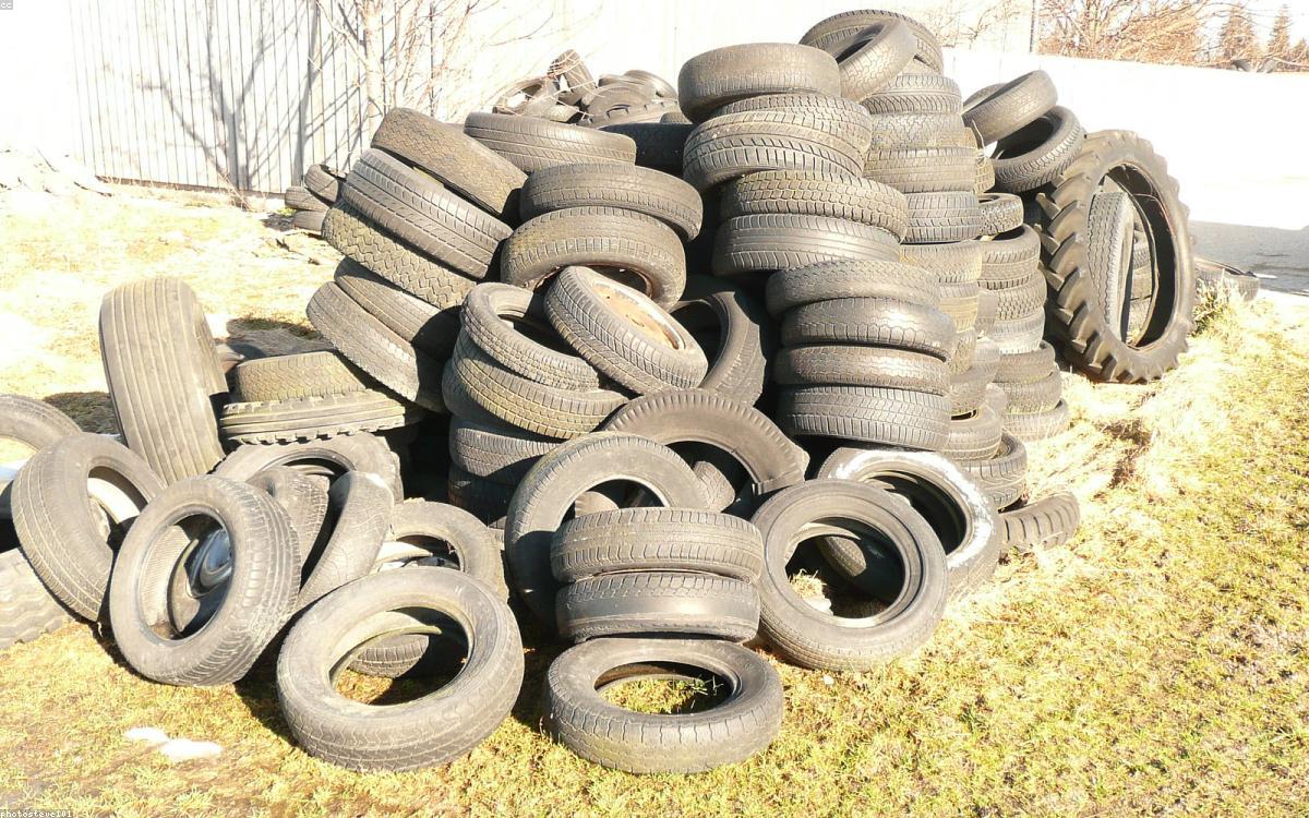 End-of-life tyres for rubber-to-oil pyrolysis